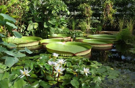 Linyi Animal and Botanica Garden