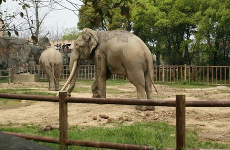 Nanchang New Zoo