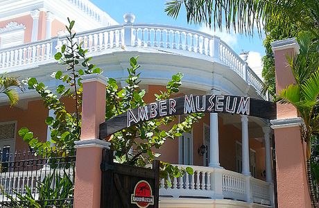 Dominican Amber Museum