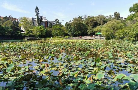 Taipei Botanical Garden - Ginger Park