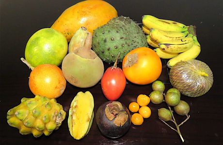 Jasons Fruits