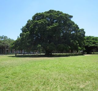 National Cheng Kung University