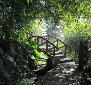 Yangmingshan Bamboo Lake