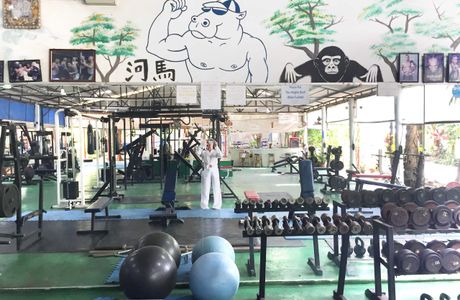 Hippo's Gym