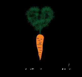 Durango Natural Foods Co-Op