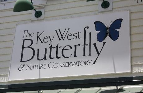 Key West Butterfly and Nature Conservatory