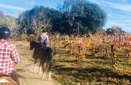 Rollin F Ranch