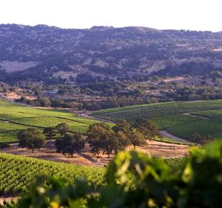 Rued Winery