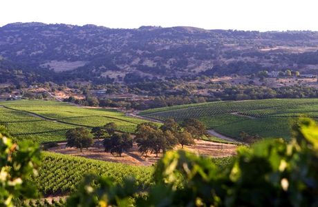 Rued Winery