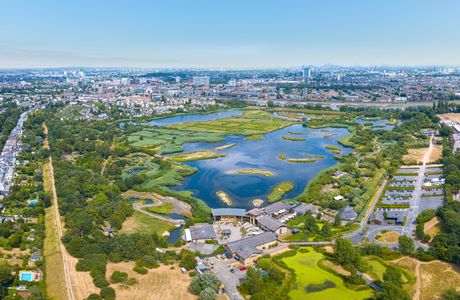 Melvin L Wetland Center