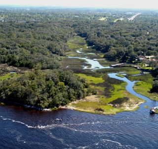 St. Johns River