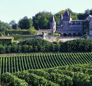 Trillium Vineyard LLC