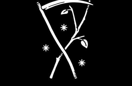 Branch & Bone Artisan Ales