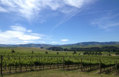 Buty Winery