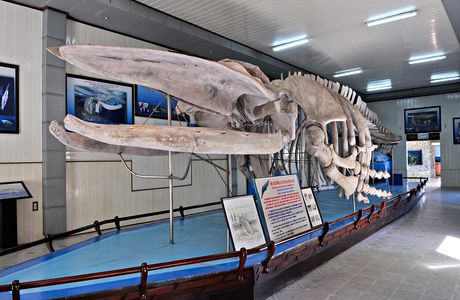 National Oceanographic Museum of Vietnam