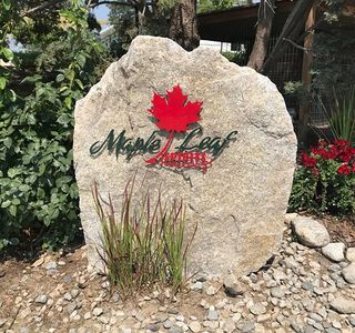 Maple Leaf Spirits Inc
