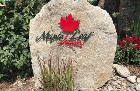 Maple Leaf Spirits Inc