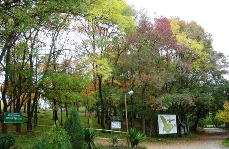 Botanical Garden Ecopark