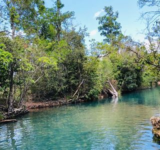 Cardwell Forest Drive