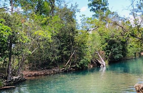 Cardwell Forest Drive