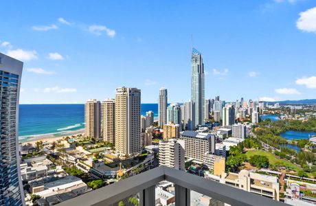 Gold Coast Butterflies