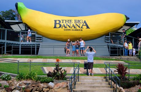The Big Banana Fun Park