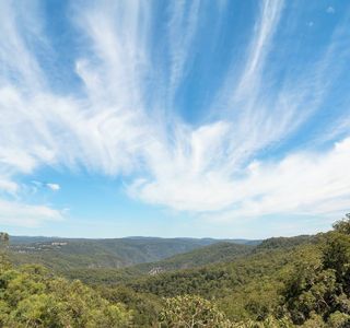 Guy Fawkes River National Park