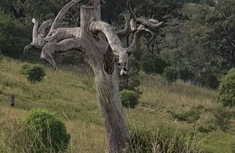 Scone Mountain National Park
