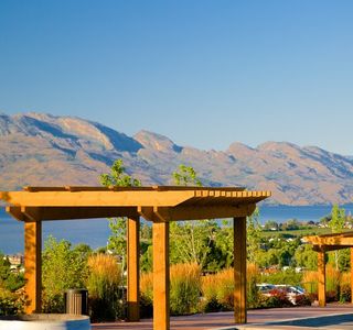 Mount View Estate Winery