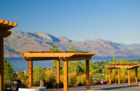 Mount View Estate Winery