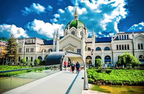 The Academy of Fine Arts