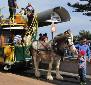 Victor Harbor Horse Drawn Tram