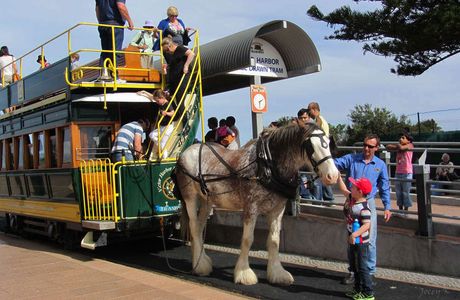 Victor Harbor Horse Drawn Tram