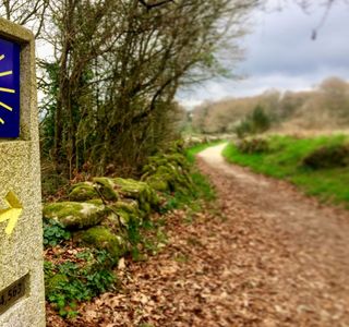 Camino de Santiago