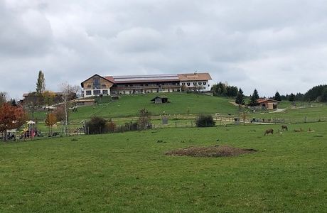 BergTierPark Blindham