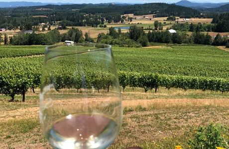 Ein Teina Winery