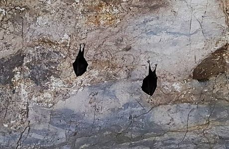 Moghan Cave