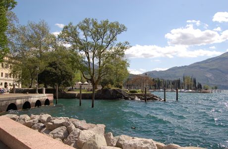 Voglia di  Te