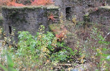 Burgruine Eibach