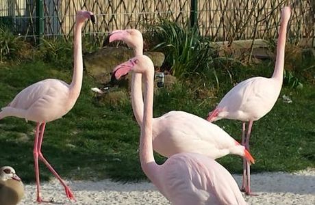 Tierpark und Fossilium Bochum