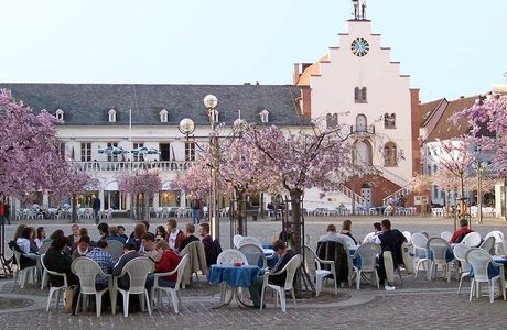 Puzzles Landau