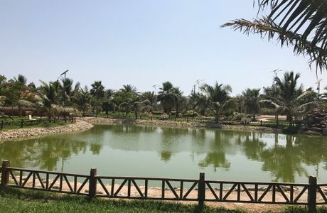 Yanbu Lakes