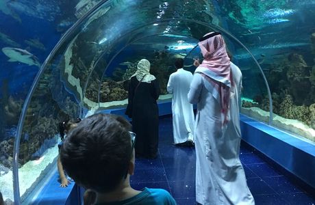Fakieh Aquarium
