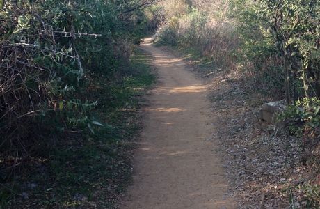 Faerie Glen Nature Reserve