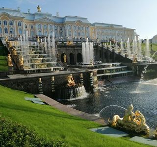 Peterhof Flowers