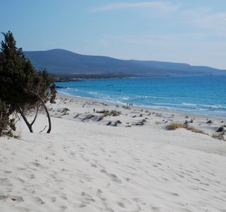 Stagno di Porto Pino