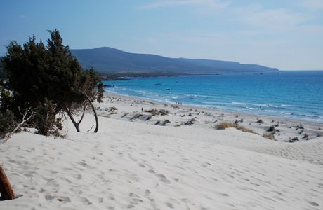 Stagno di Porto Pino