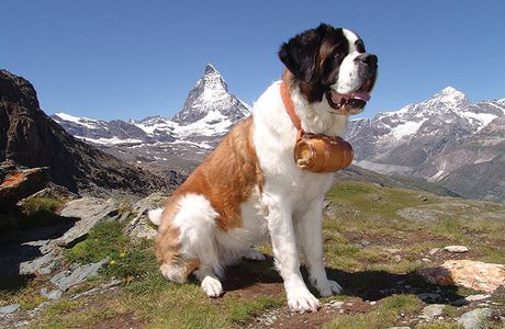 Birrificio du Grand Saint Bernard