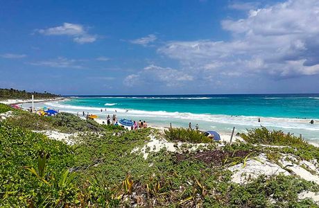 Santuario de la Tortuga Marina Xcacel Xcacelito