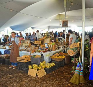 Oranjezicht City Farm and Market Day